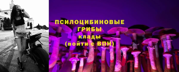 твердый Верхний Тагил